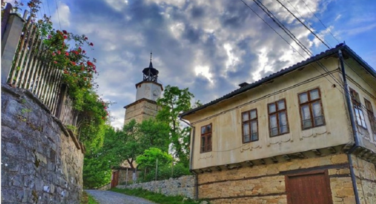 визитки за Елена